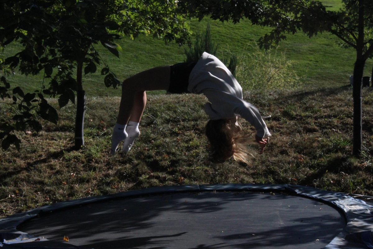 Flip and Flicks
