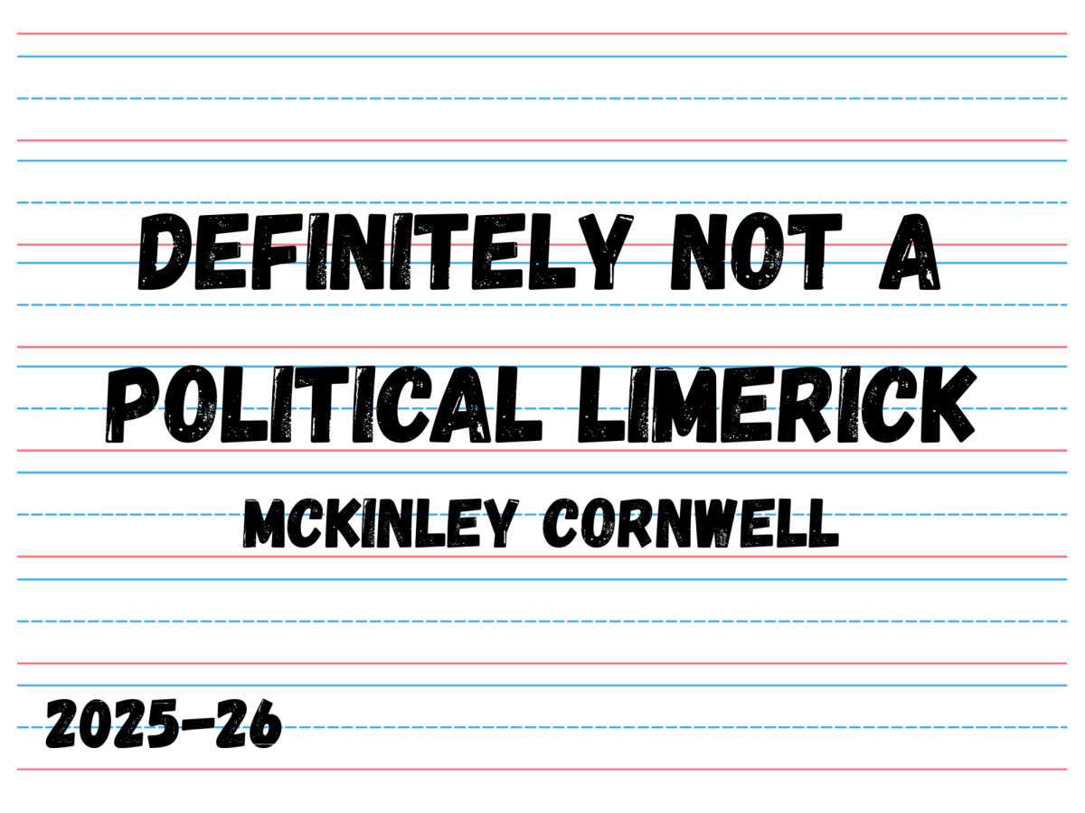 Definitely not a political limerick